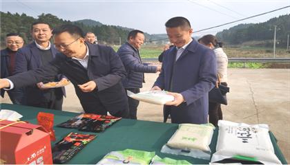 市委常委、政法委書記劉波濤帶隊調(diào)研指導(dǎo)定點幫扶村鄉(xiāng)村振興工作